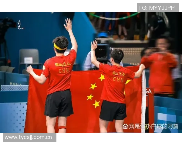 冰与火之歌：莎头组合的乒坛传奇，国乒荣耀的闪耀篇章